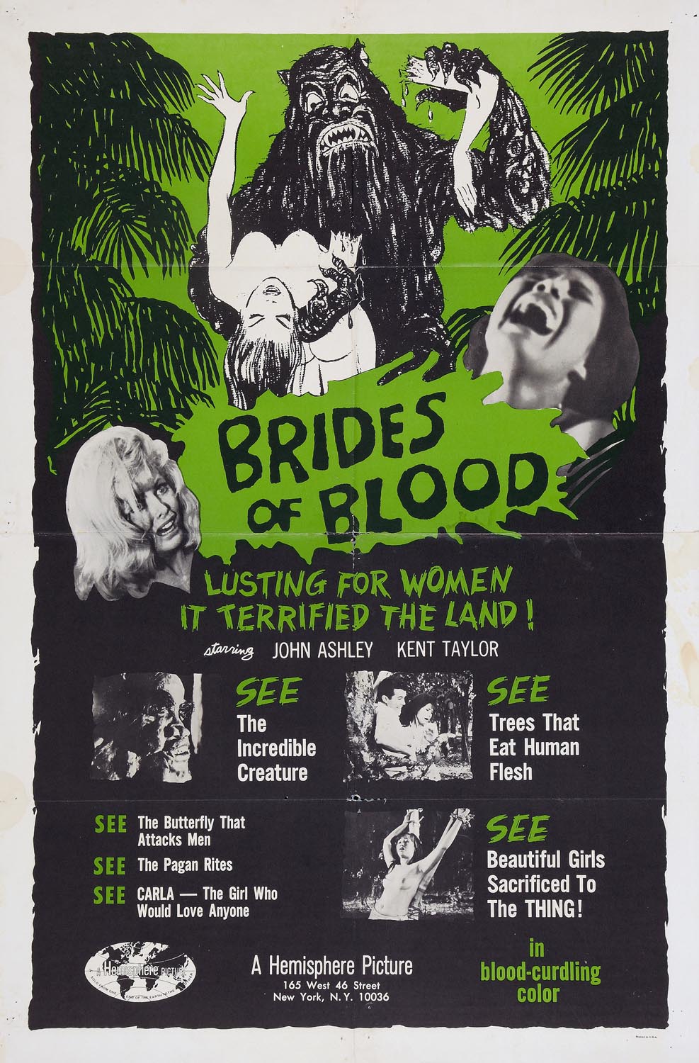 BRIDES OF BLOOD